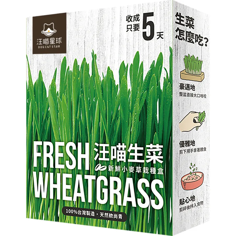 貓草新鮮栽培盒-貓咪生菜