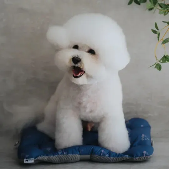 PETiCO iCO 車用四季軟墊