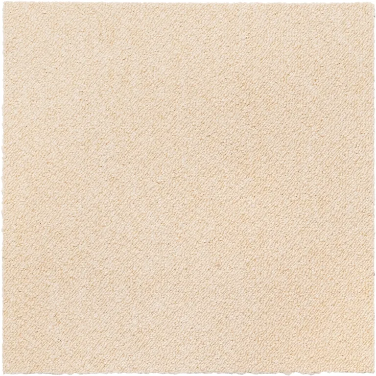 日本 TOLI 寵物防滑地墊｜AK350 圈毛吸震系列