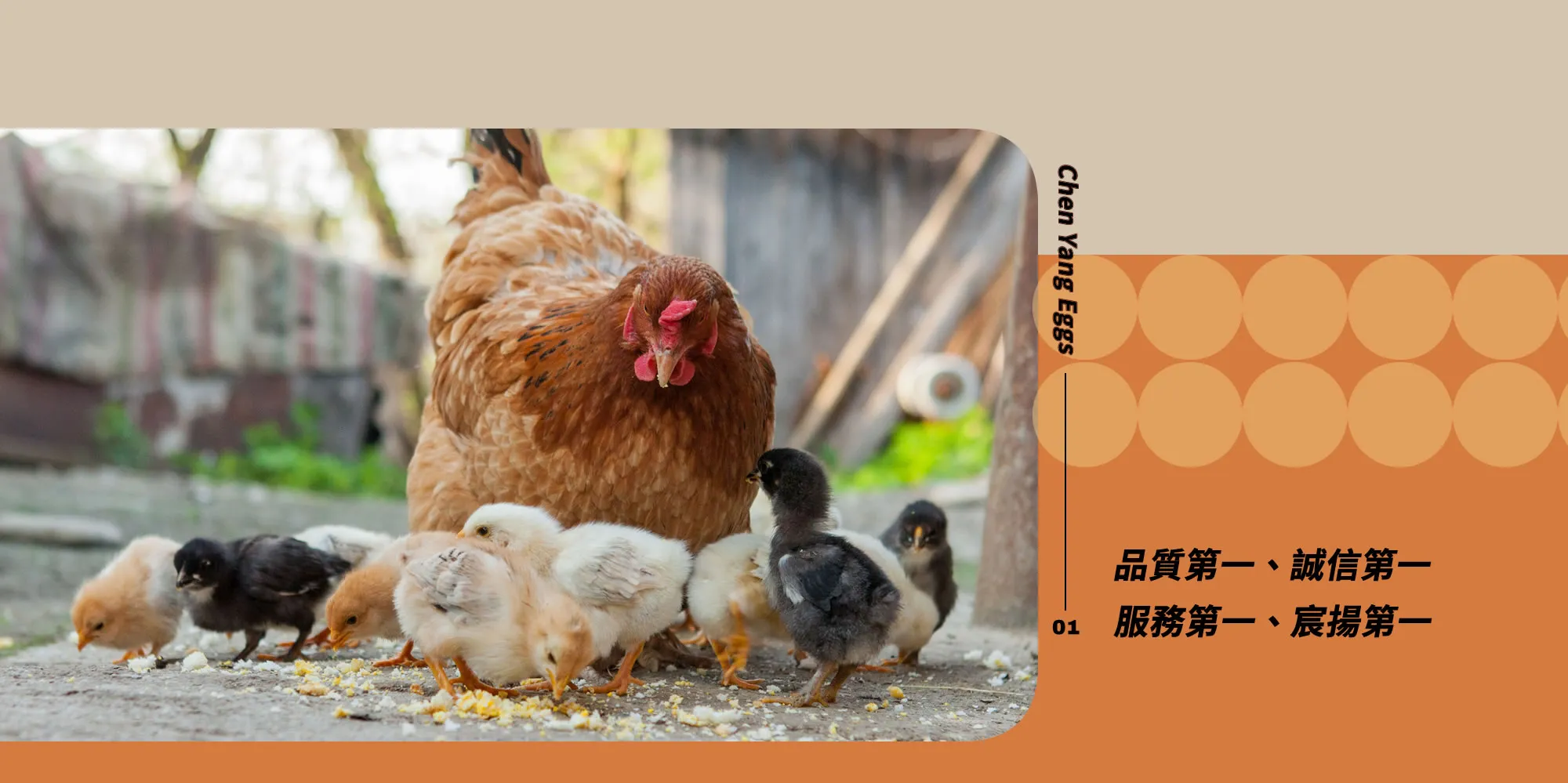 宸揚蛋品-蛋商,雞蛋商,雞蛋批發,台北雞蛋批發,汐止雞蛋批發