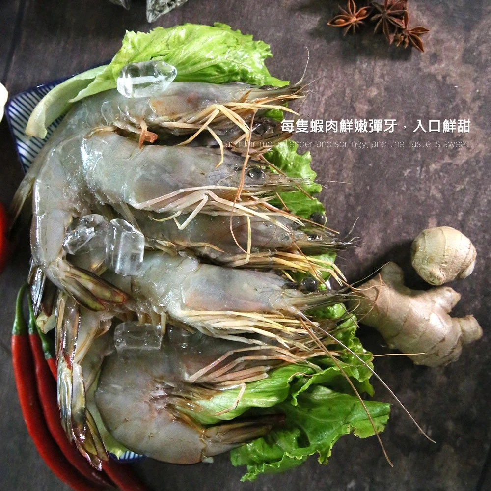 【大船入港】台灣野生白刺蝦