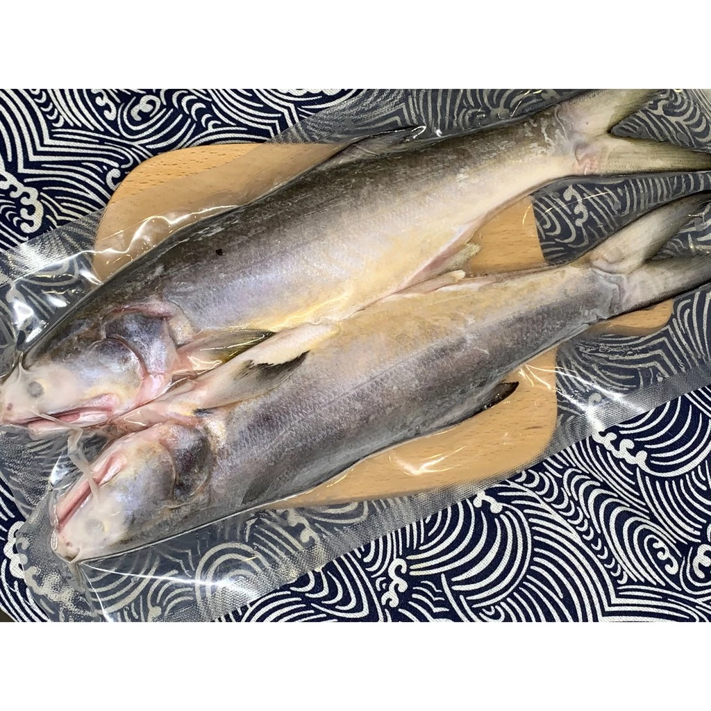 【大船入港】野生海午仔魚