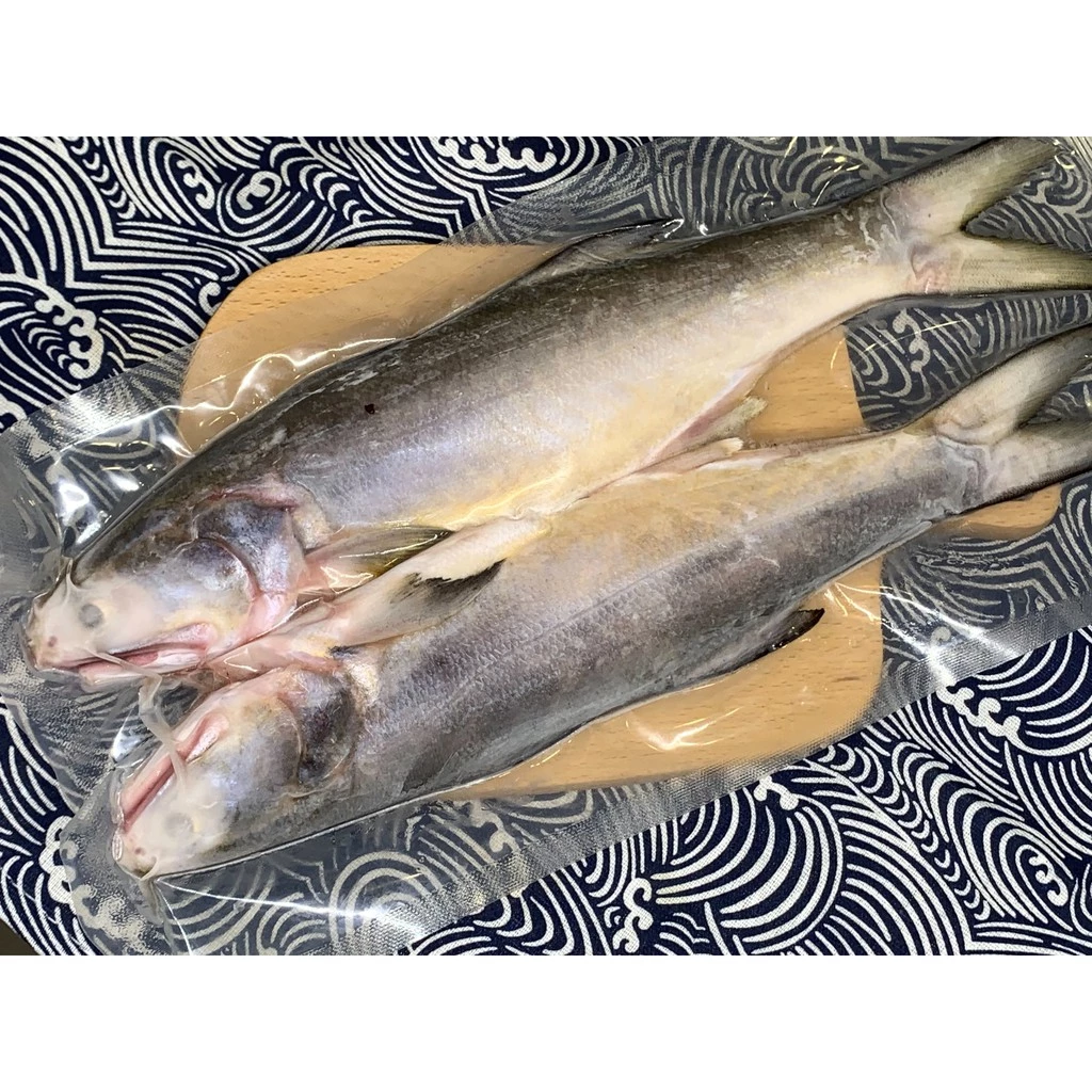 【大船入港】野生海午仔魚