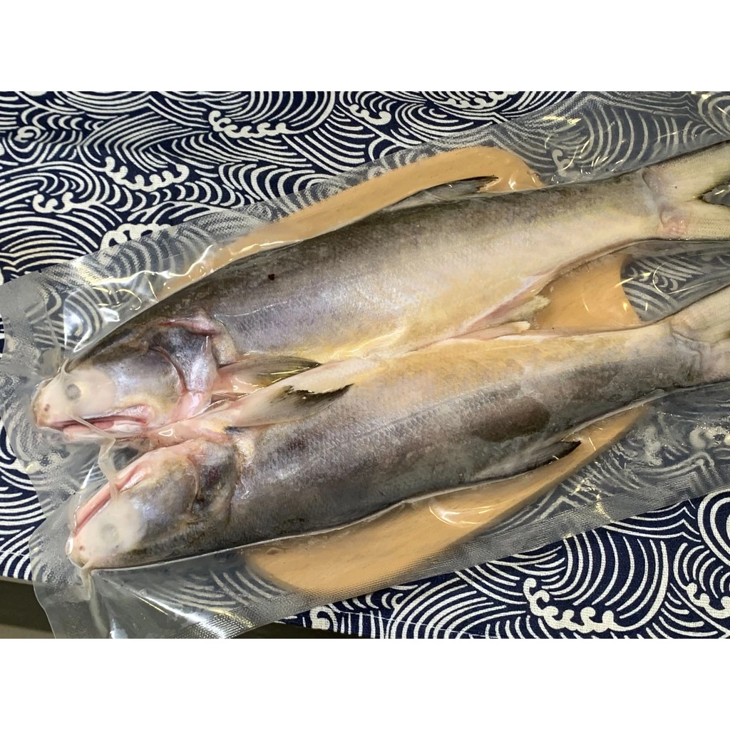 【大船入港】野生海午仔魚