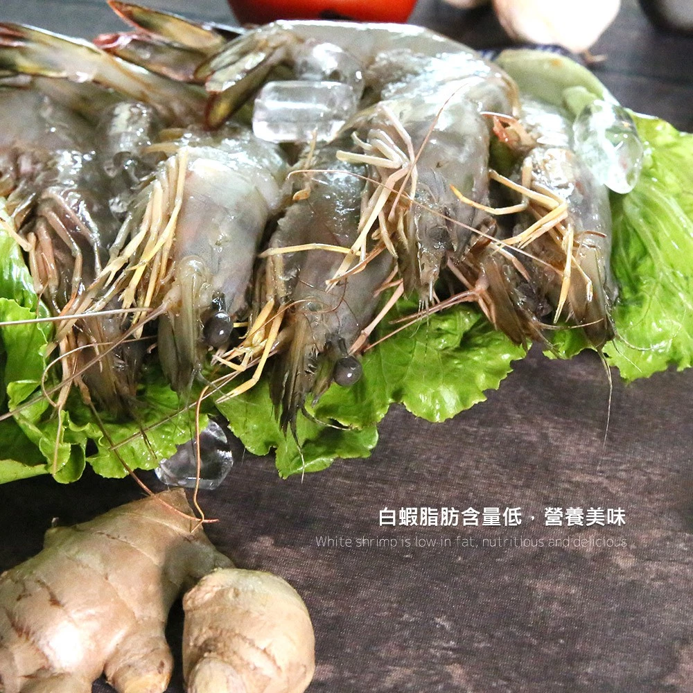 【大船入港】台灣野生白刺蝦