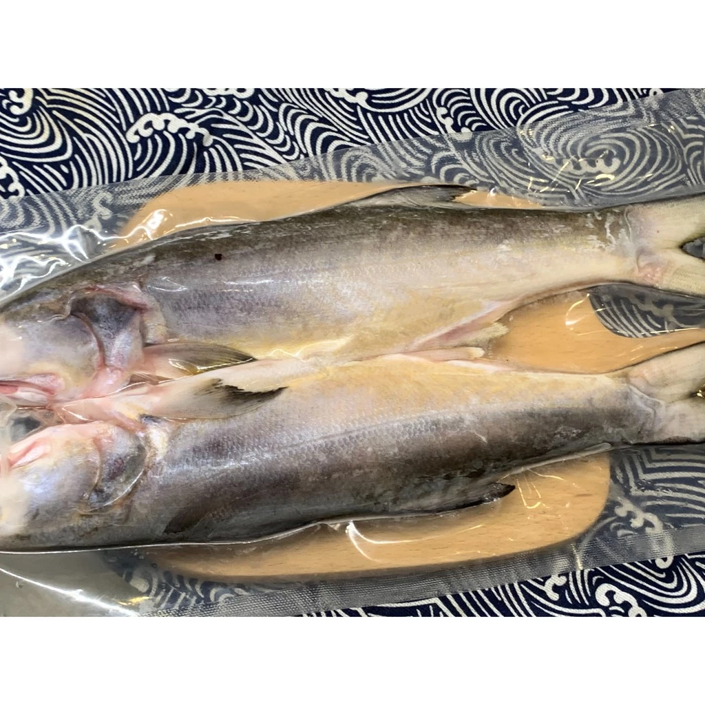【大船入港】野生海午仔魚