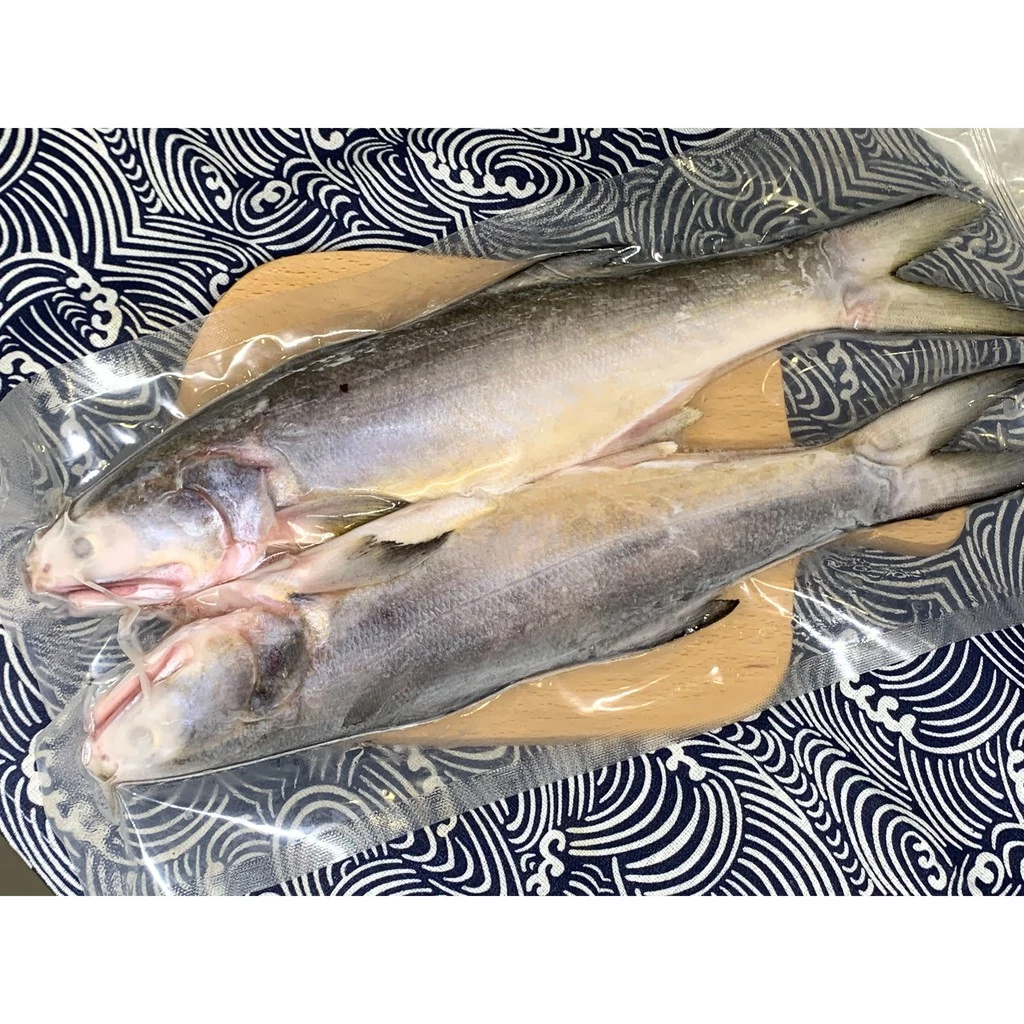 【大船入港】野生海午仔魚