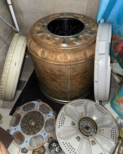 士林林小姐-LG直立式洗衣機