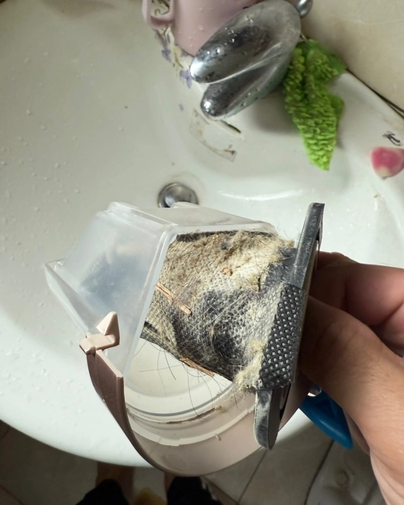 北市張小姐-雙人床墊清洗