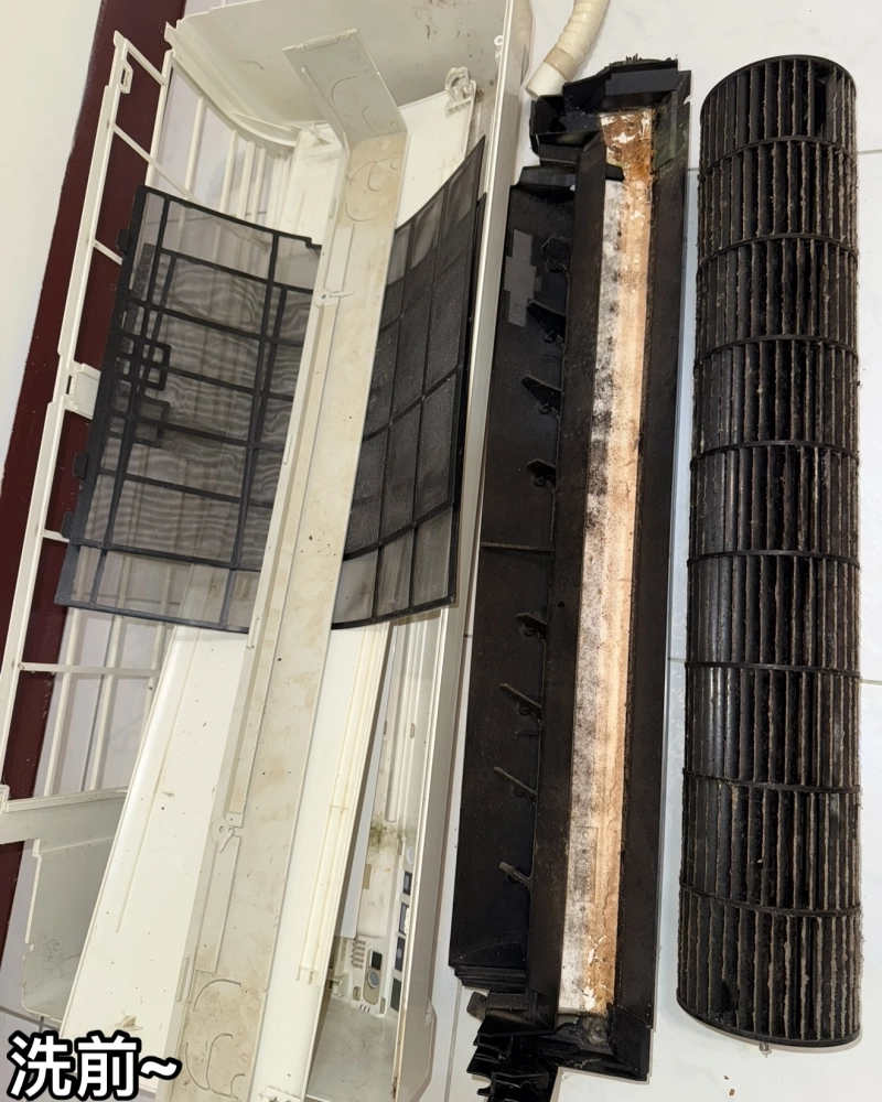 三重林小姐-國際拆風鼓