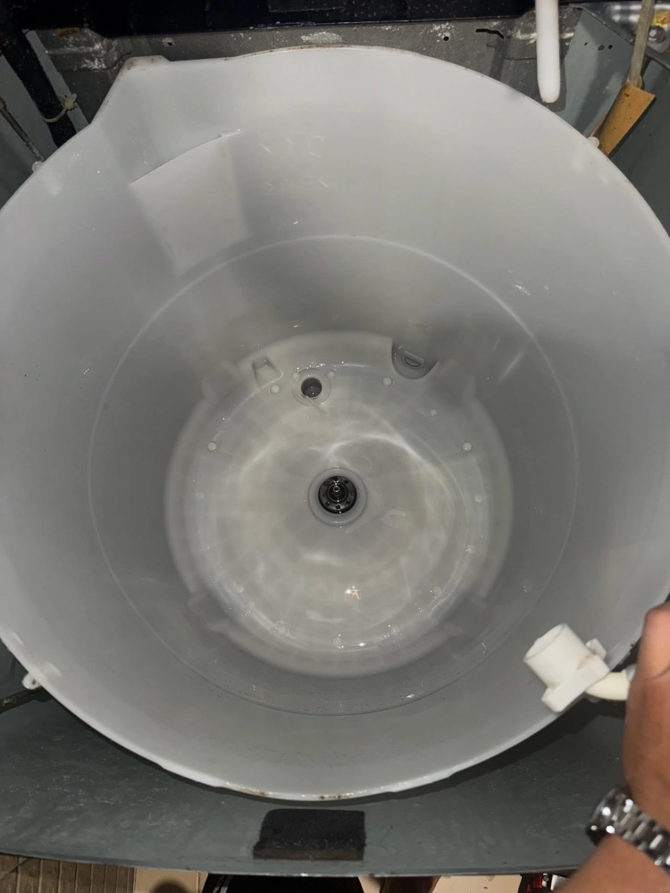 三重楊小姐-東芝直立式洗衣機