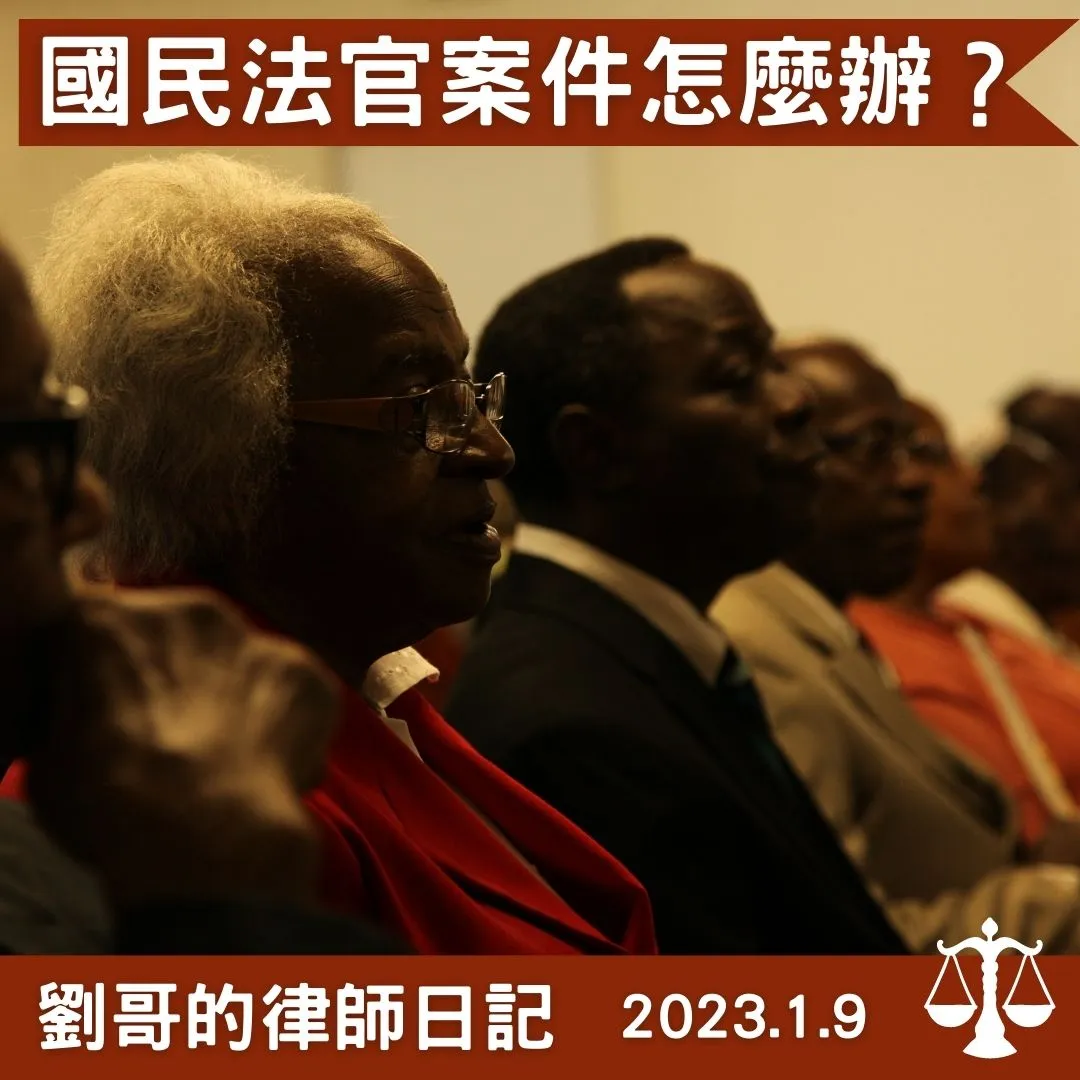 <國民法官承審之案件類型>