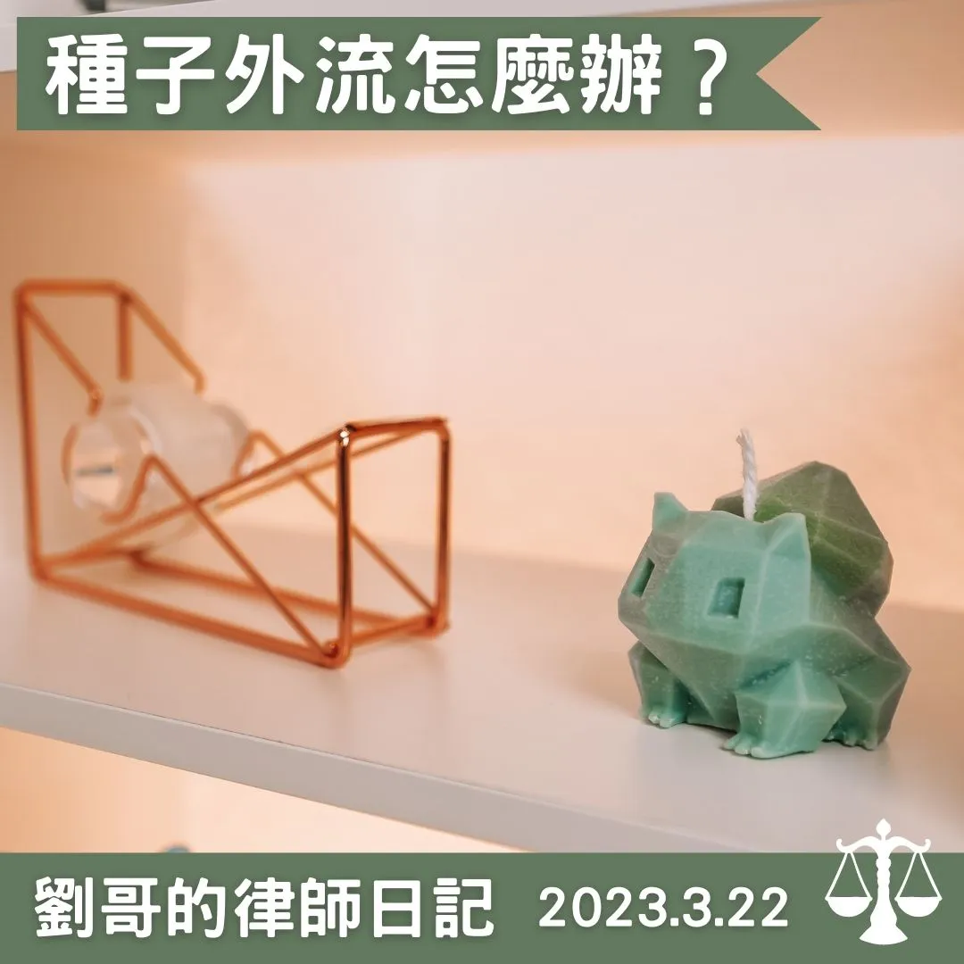 <金鑽鳳梨外流，植物品種及種苗法修法>