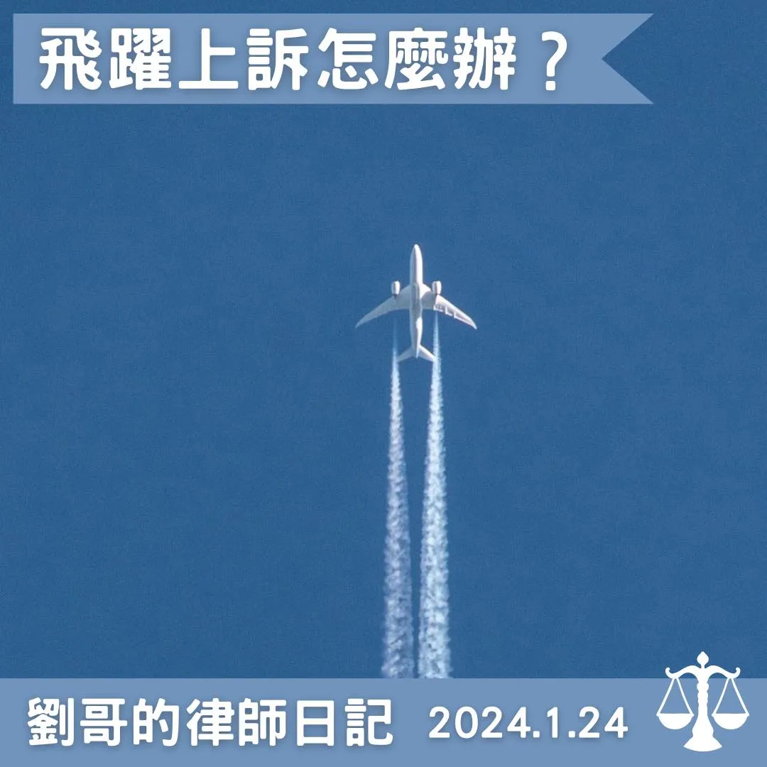 <飛躍上訴是要飛到哪裡去？>