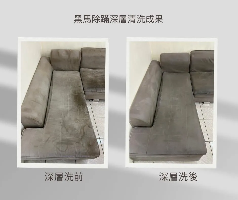 沙發清洗｜案例13