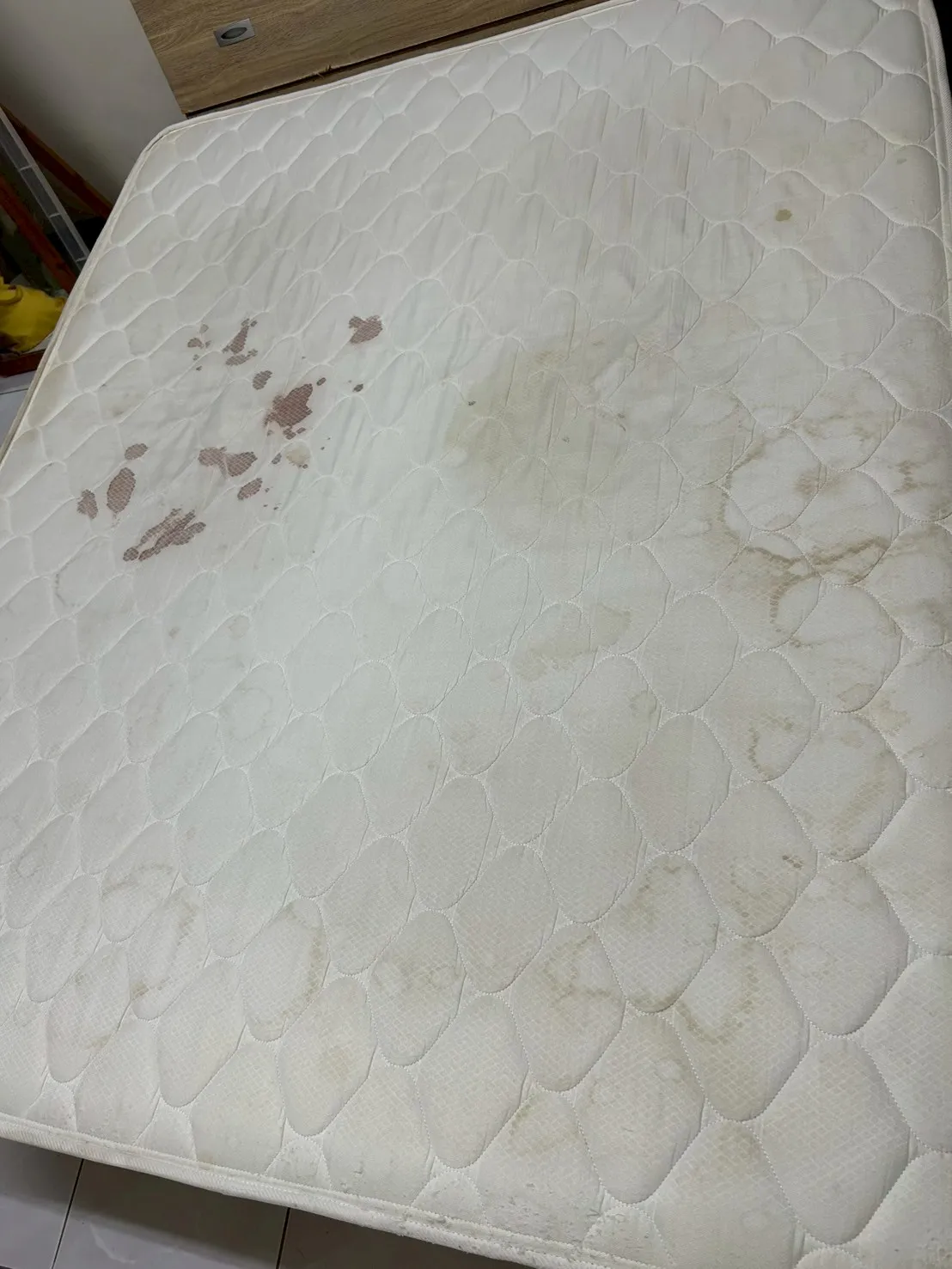 床墊清洗｜案例13