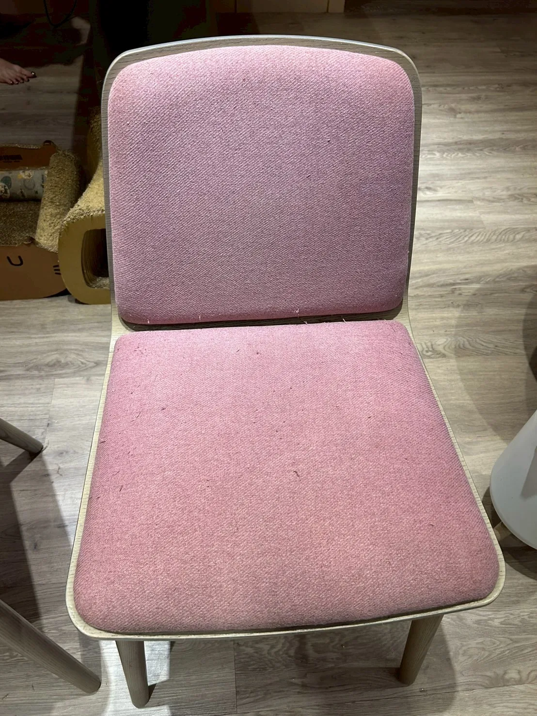 椅子清洗｜案例02