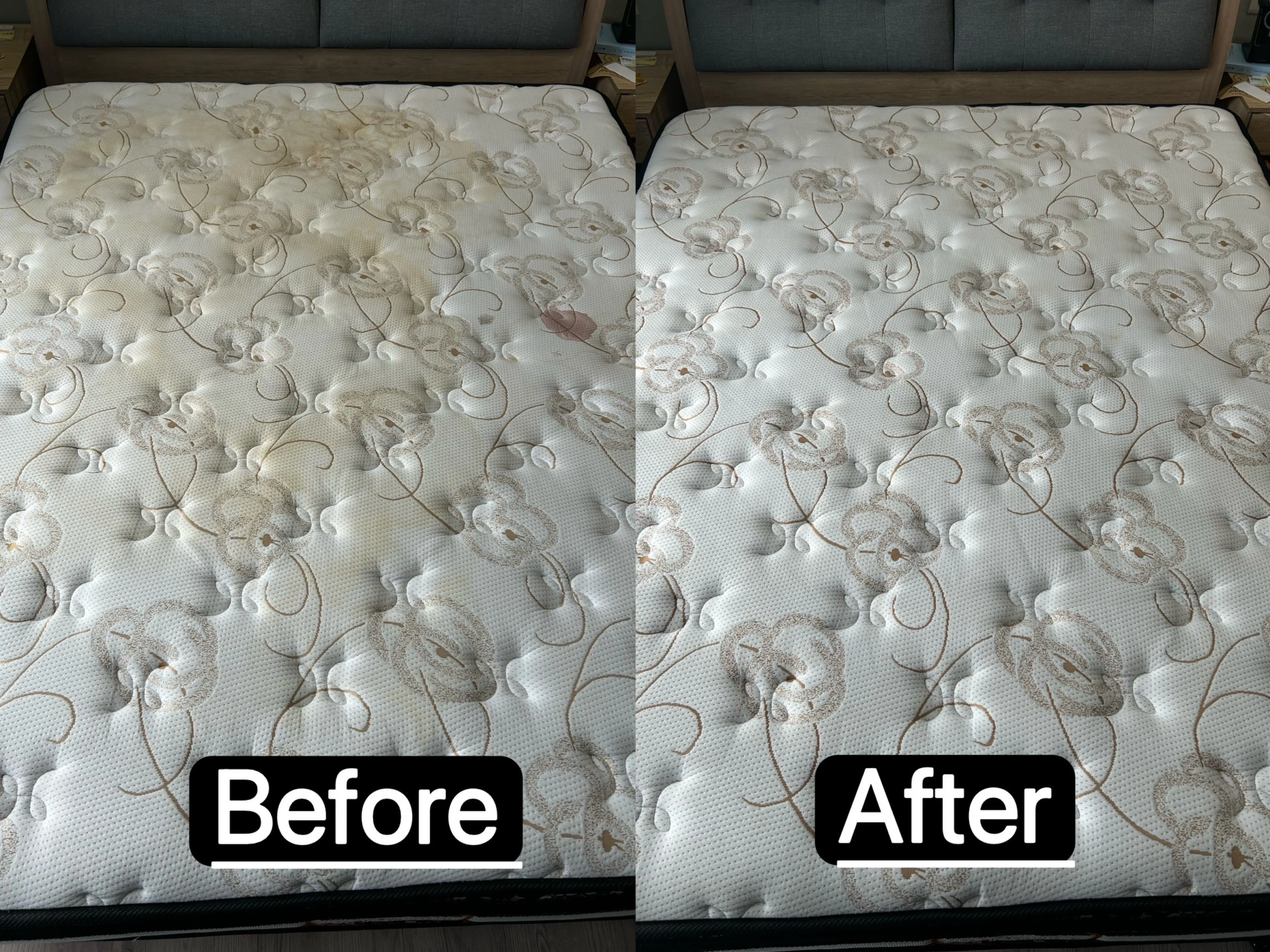 床墊清洗｜案例14