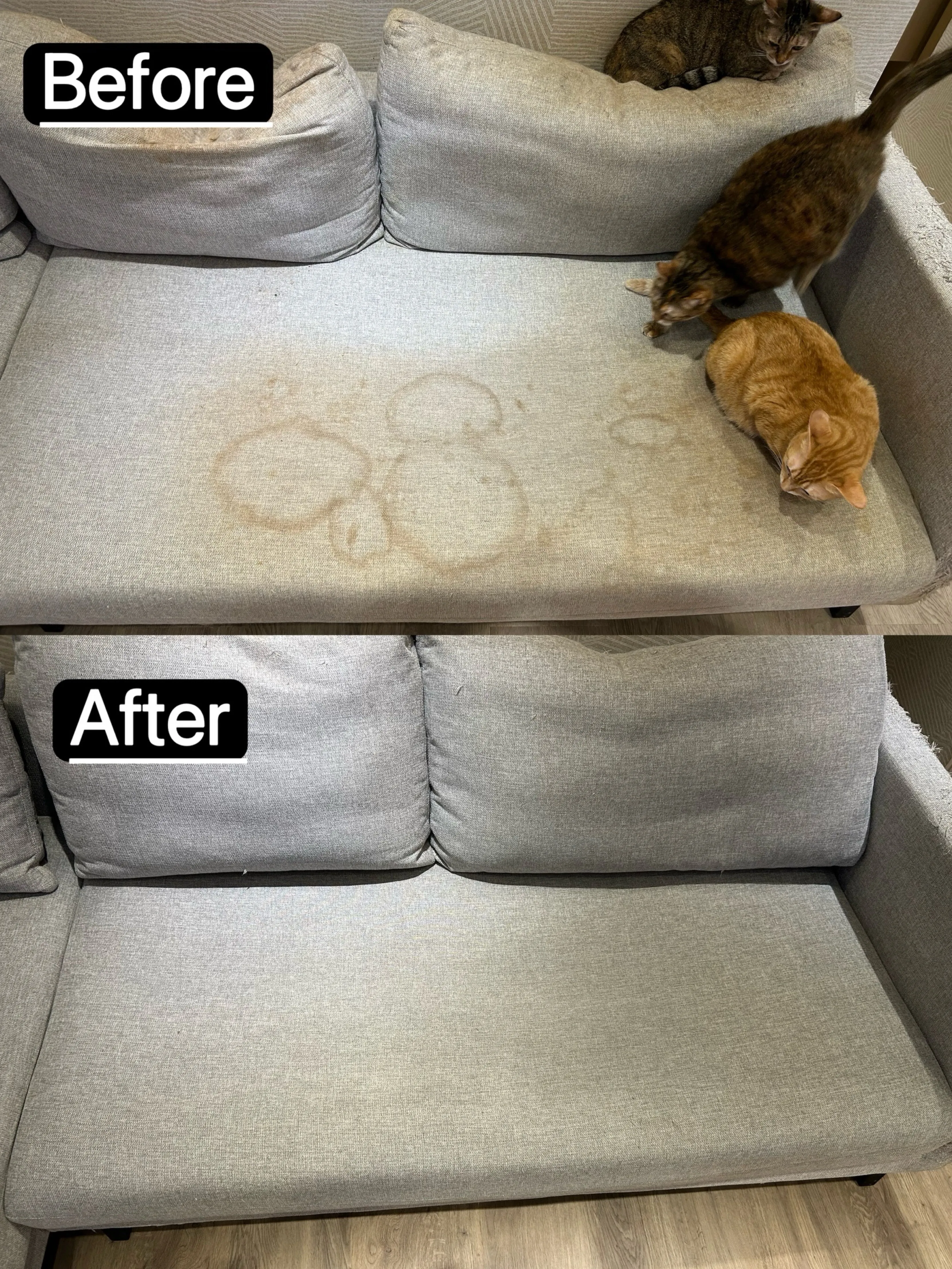 沙發清洗｜案例12