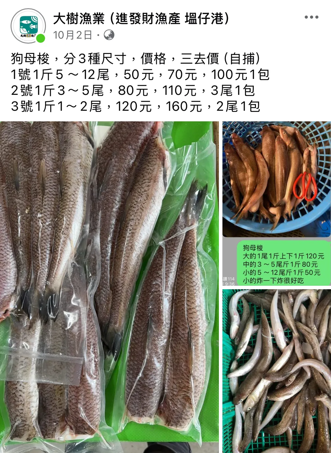 狗母梭, 海產批發/彰化海產批發/塭仔漁港