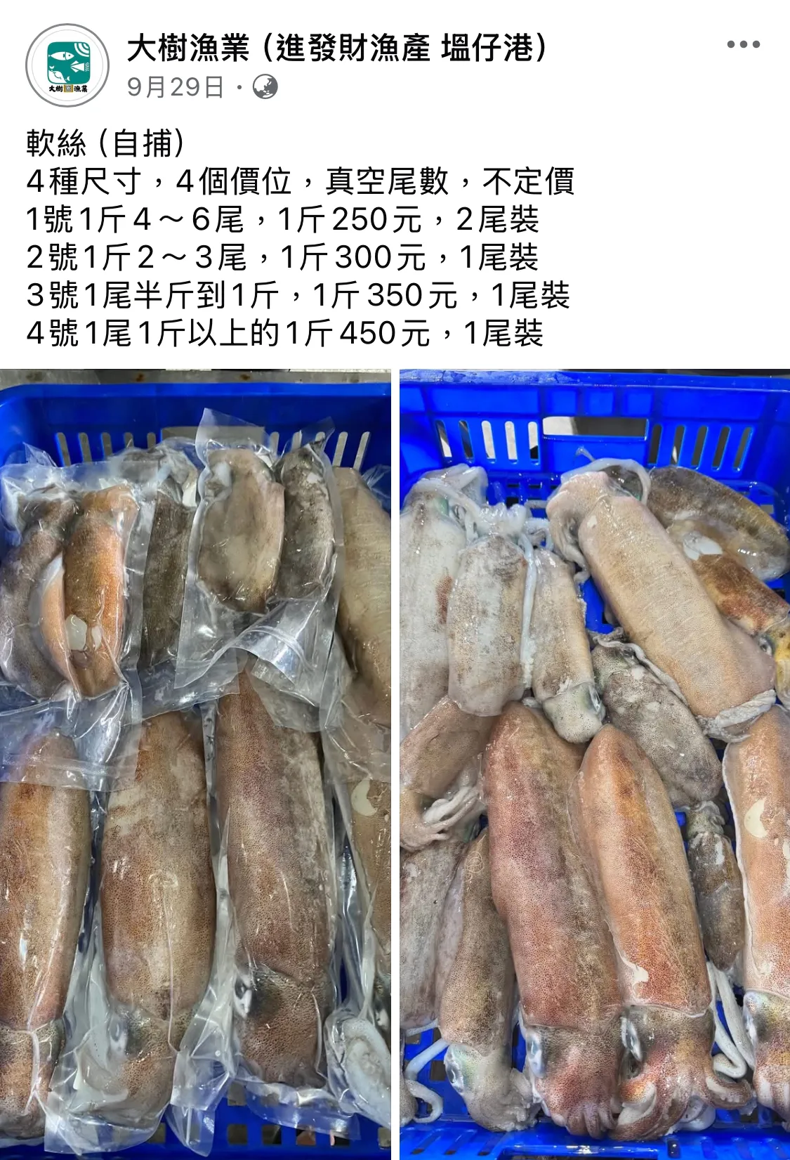 軟絲, 海產批發/彰化海產批發/塭仔漁港