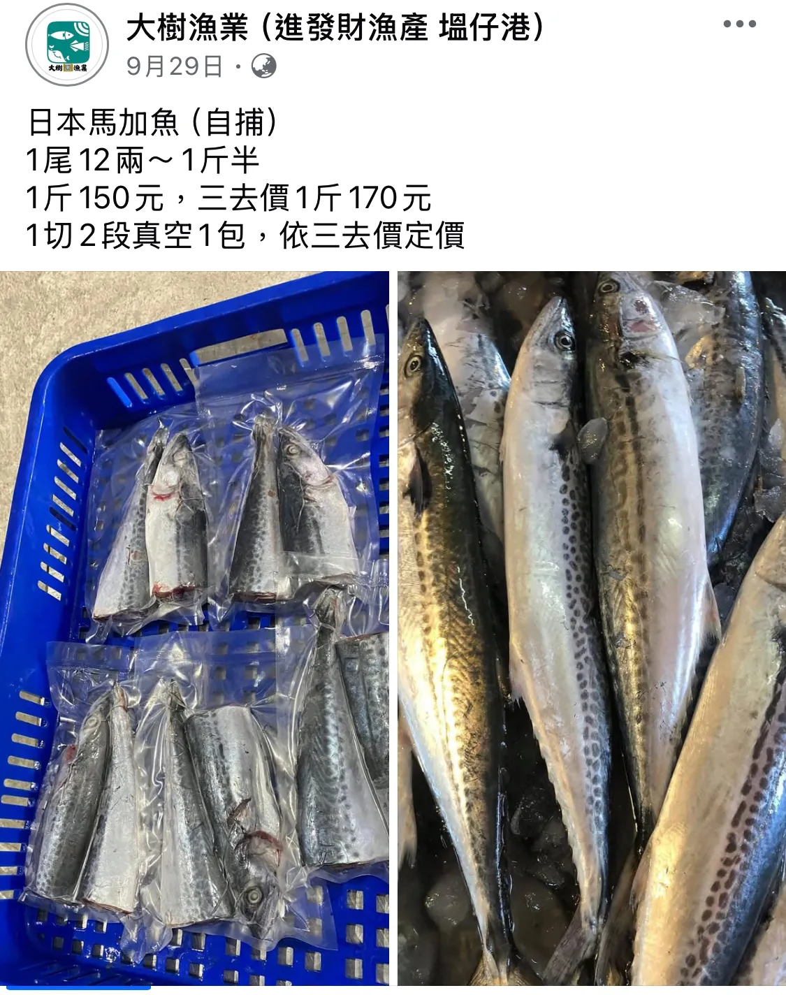 白北、台灣馬加鰆, 海產批發/彰化海產批發/塭仔漁港