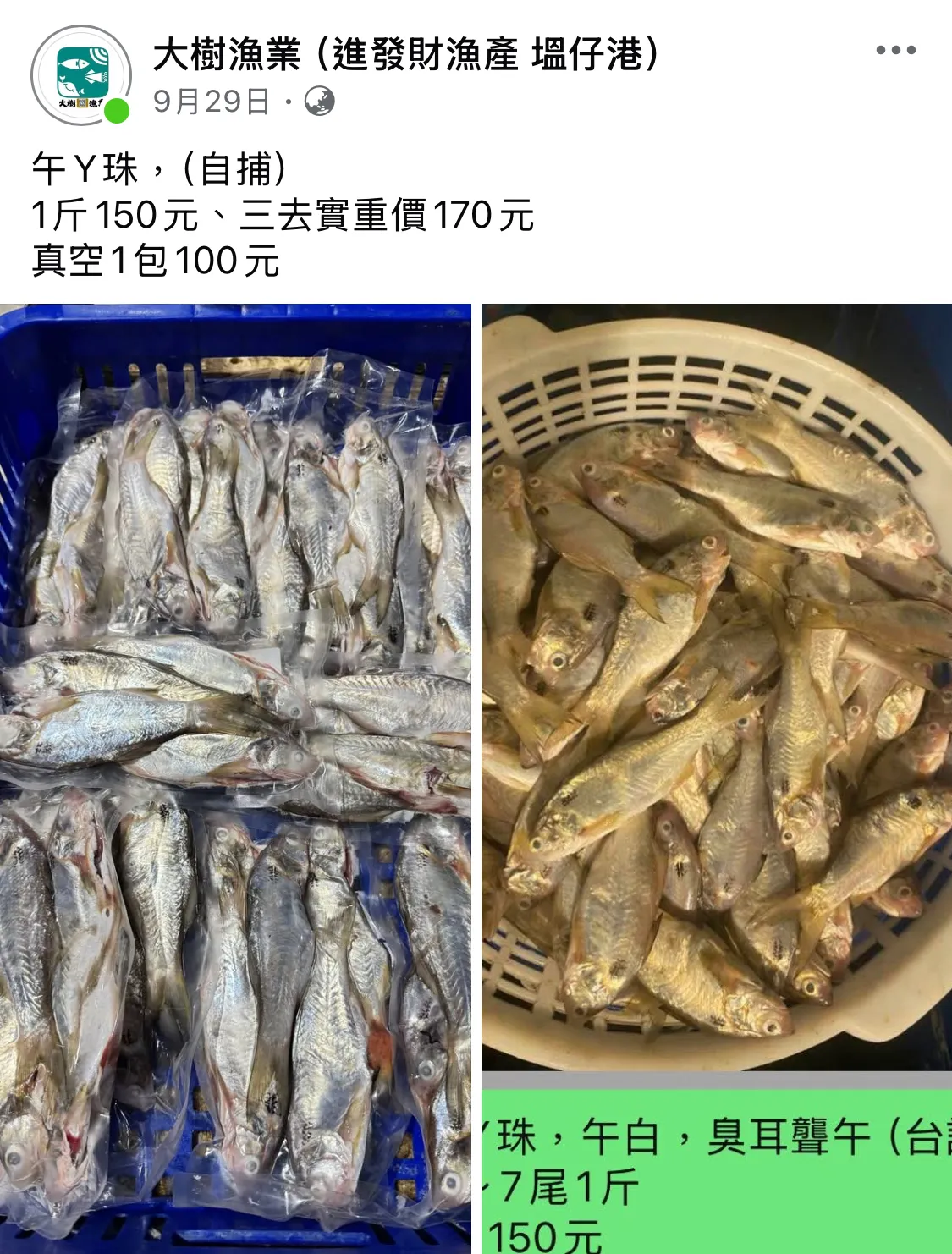 午丫珠、午白、臭耳聾午（台語）彰化買海鮮｜線西鄉買海鮮｜