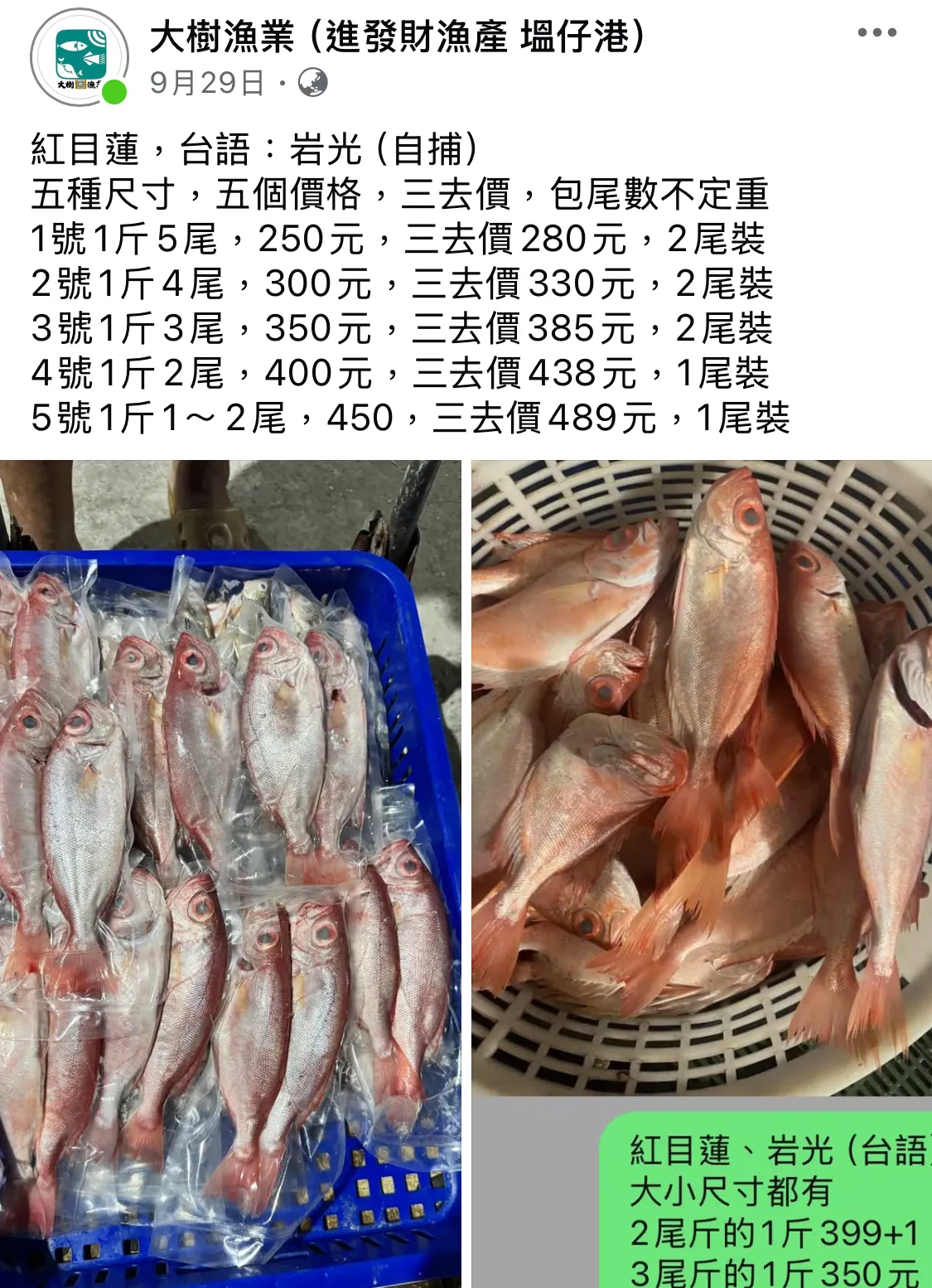 紅目蓮、剝皮魚、巖光（台語）海產批發/彰化海產批發/塭仔漁港