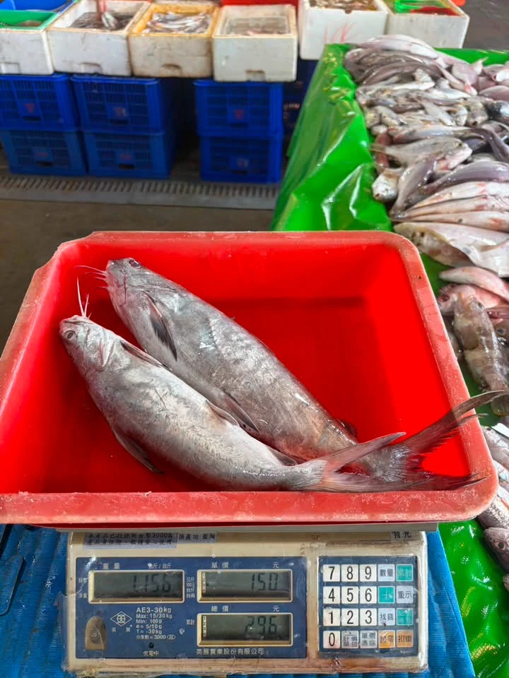 每日有出海，漁獲新鮮社群上架