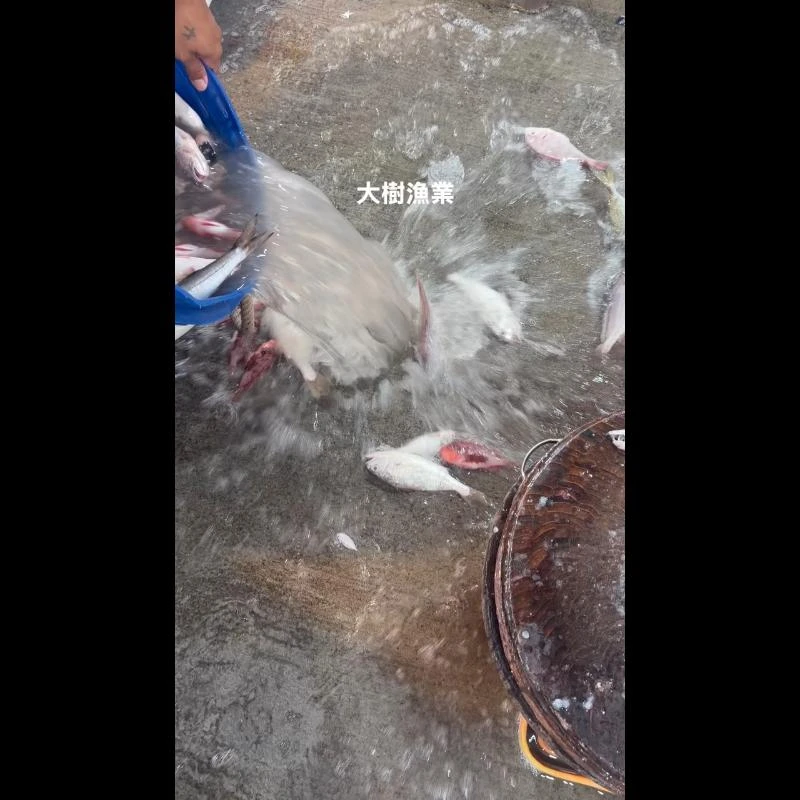 我們的最新消息和品項目錄在賴社群比較即時