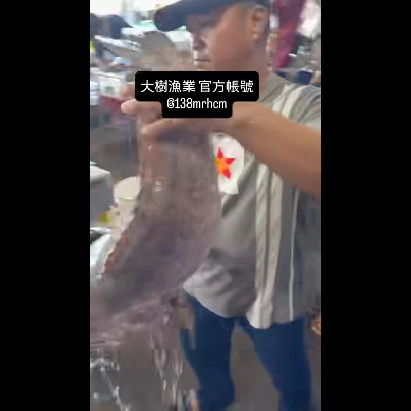 最近不只肉魚豐收，連雜魚的成績也不錯
