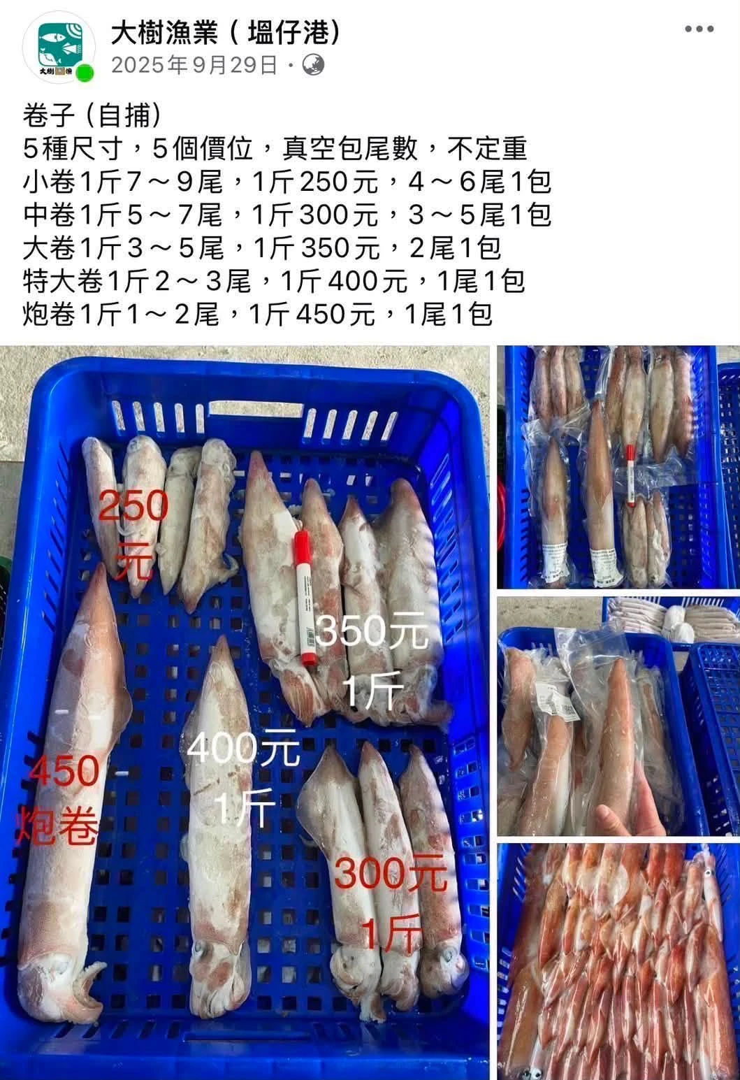 自捕頭足類卷子各尺寸、軟絲、花支、章魚、脆卷、咪咪卷