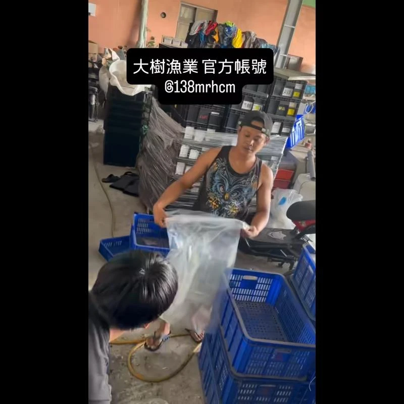 初秋快到了，漁獲漸漸多了起來