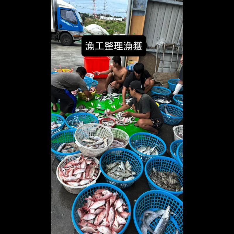 每日的工作日常，有喜歡吃海鮮的朋友，歡迎來找我訂購