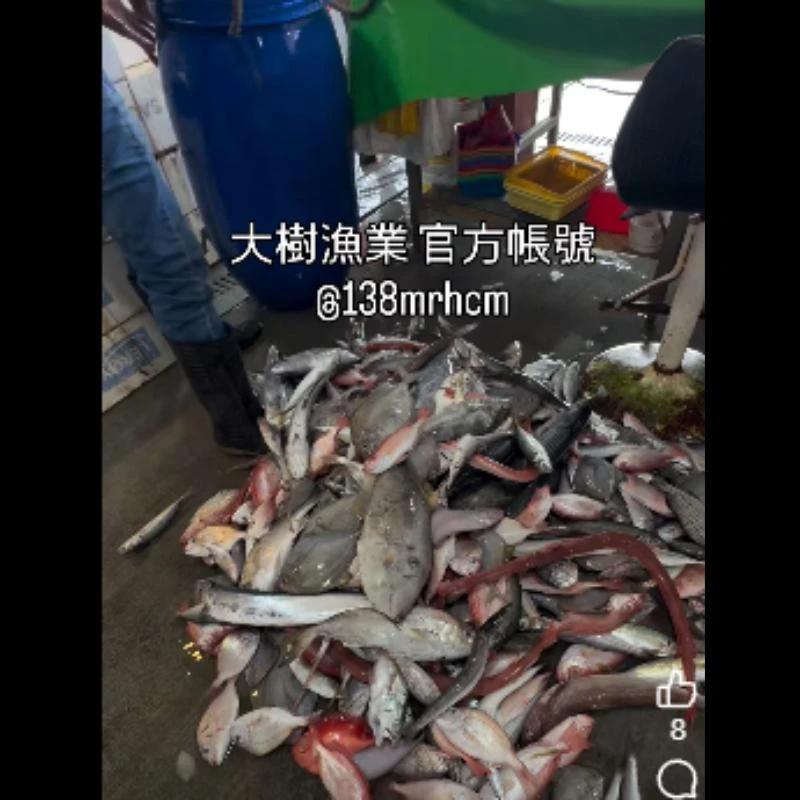 東北季風增強，漁船可以出海的天數，會比較少