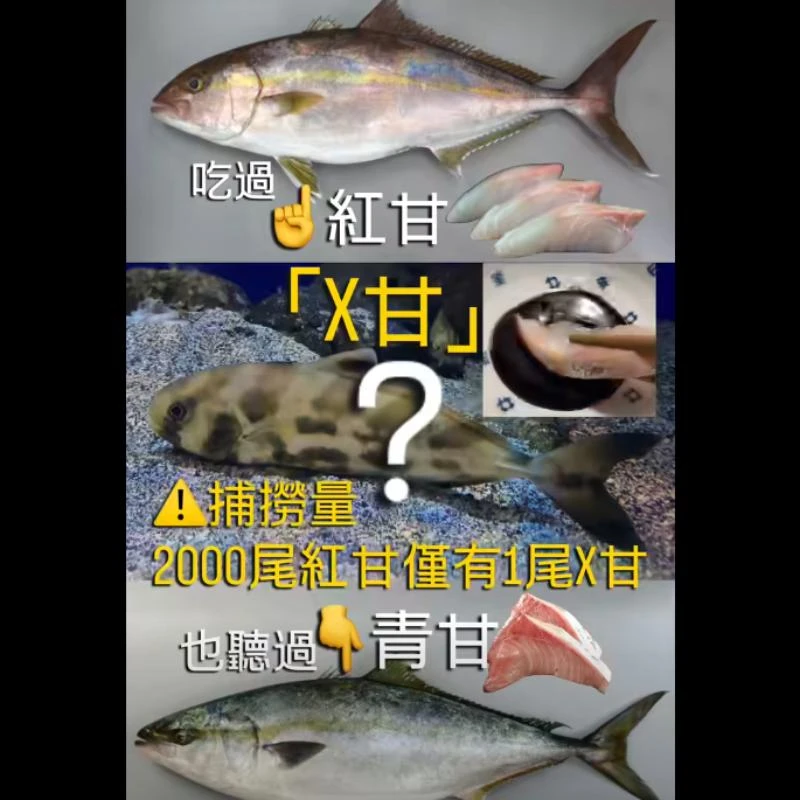 油甘、黑甘、虎頭甘、軟骨甘、烏里（曰語）都是牠的名字
