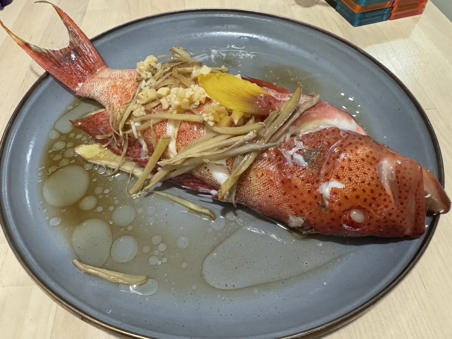 燕尾紅條(菲律賓)