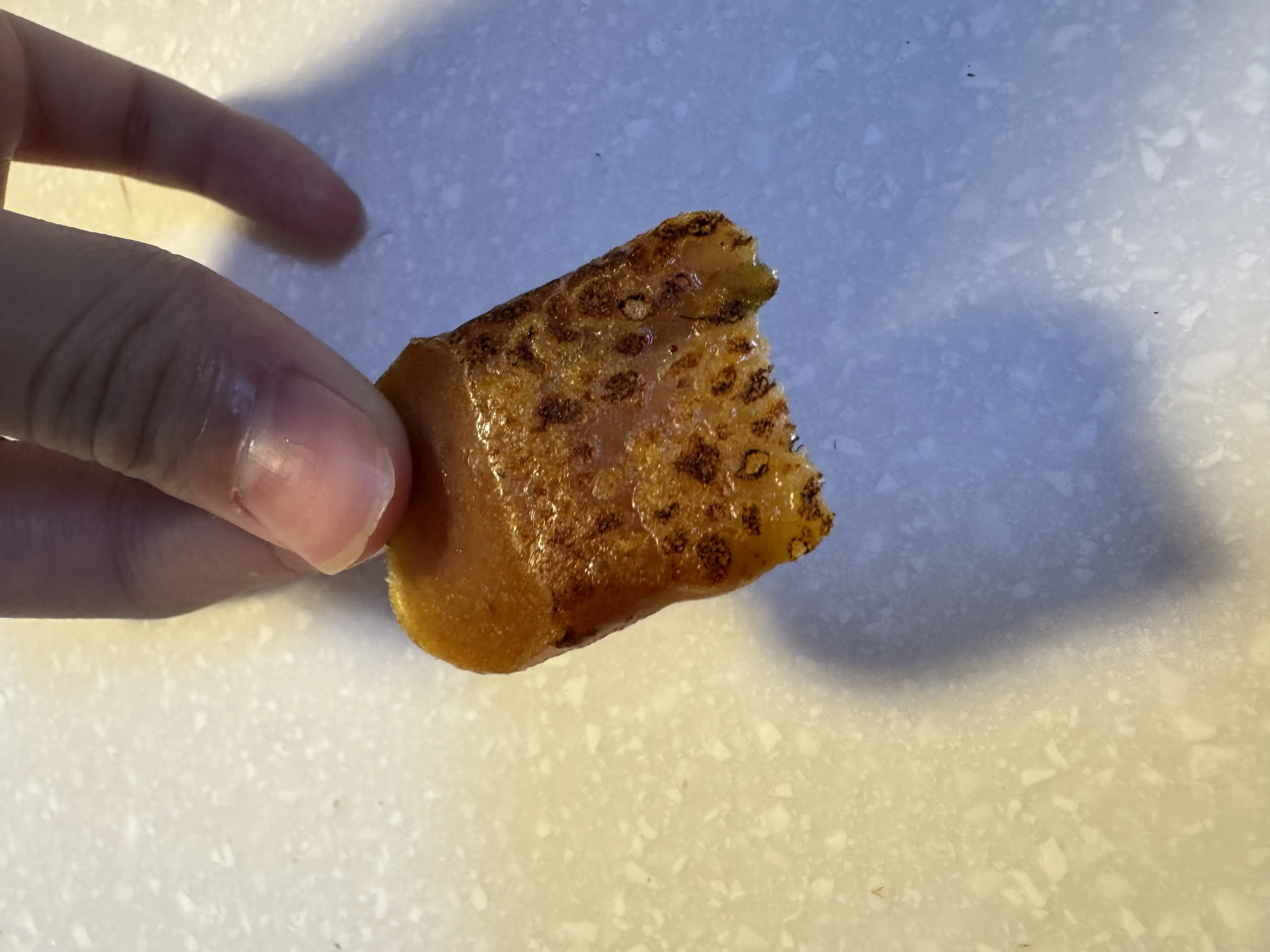 一口烏魚子(小)