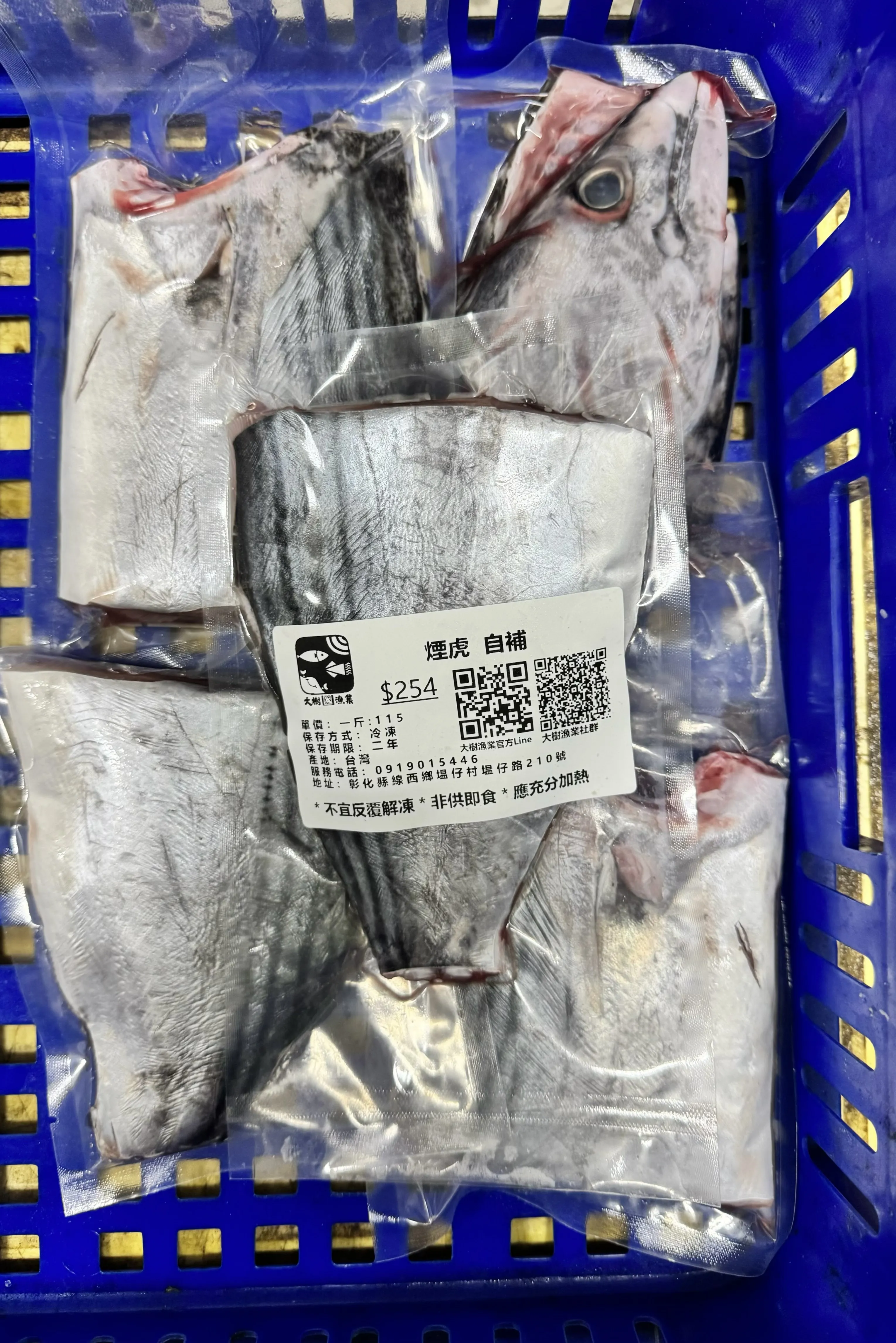 煙仔虎（自捕）