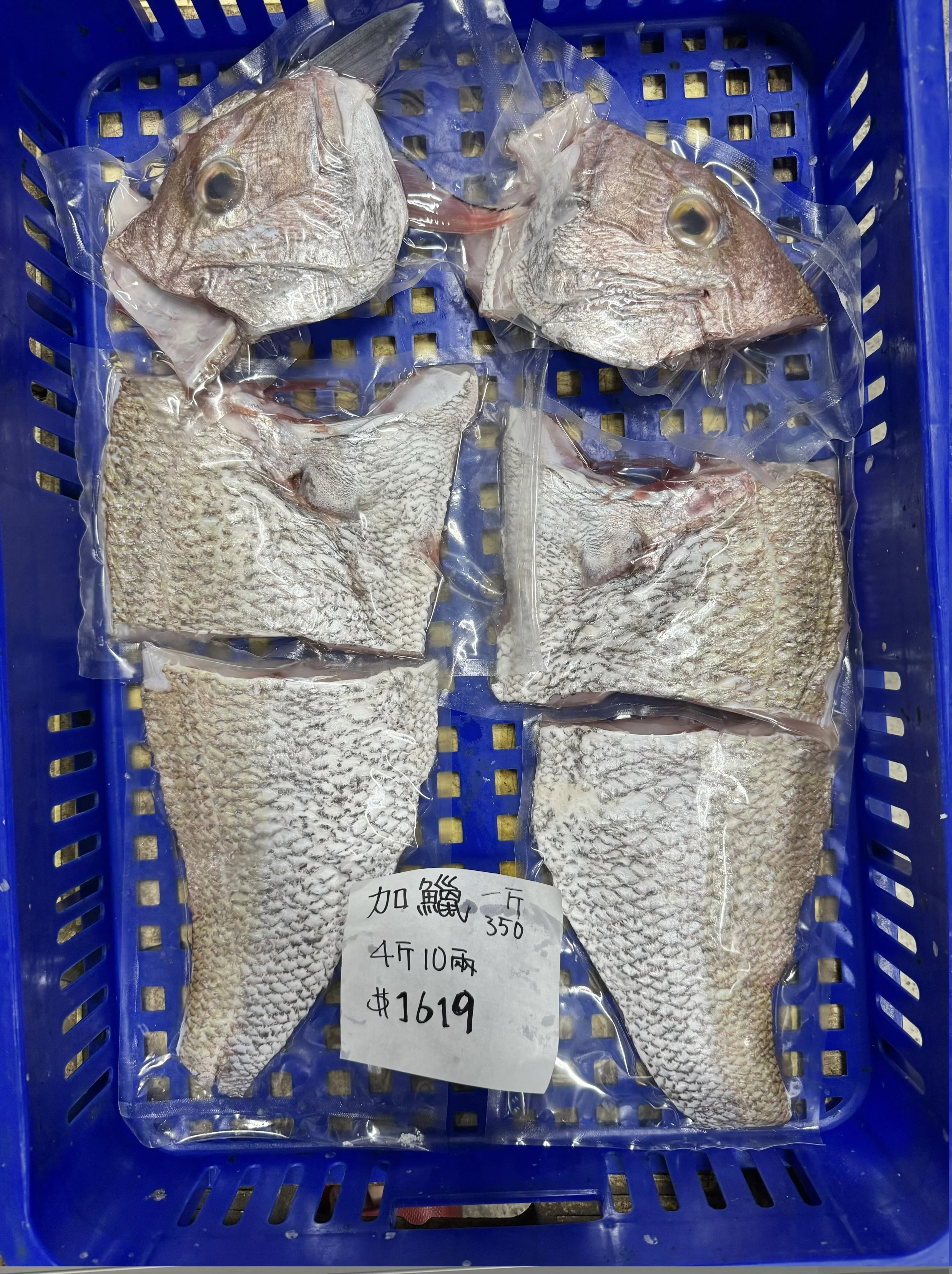 嘉鱲魚