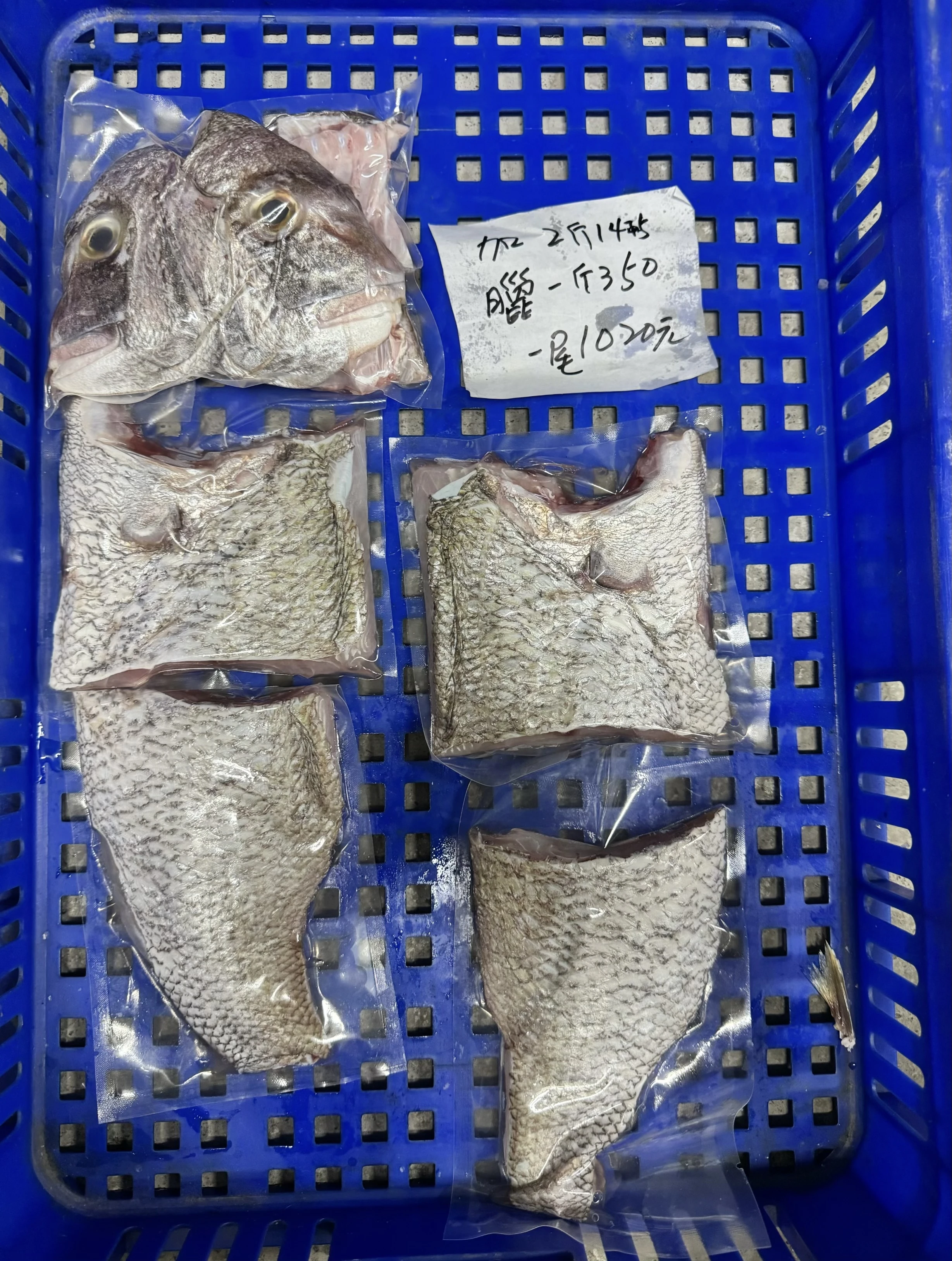 嘉鱲魚