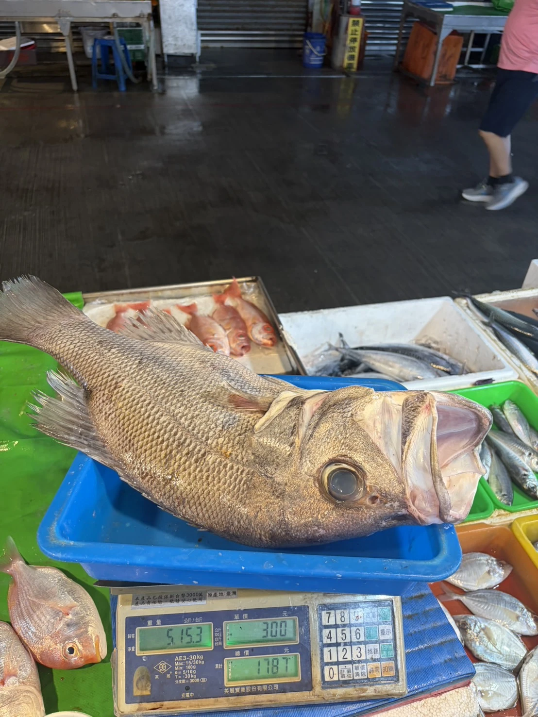 黑大目（葉雕）