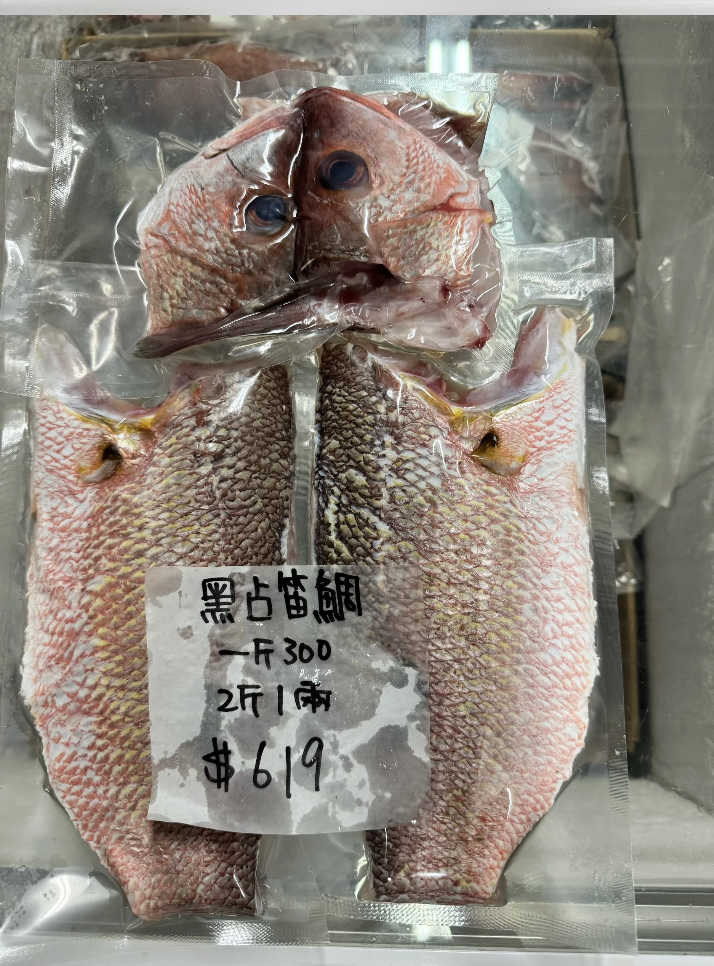 黑點笛鯛 黑點仔 點痣