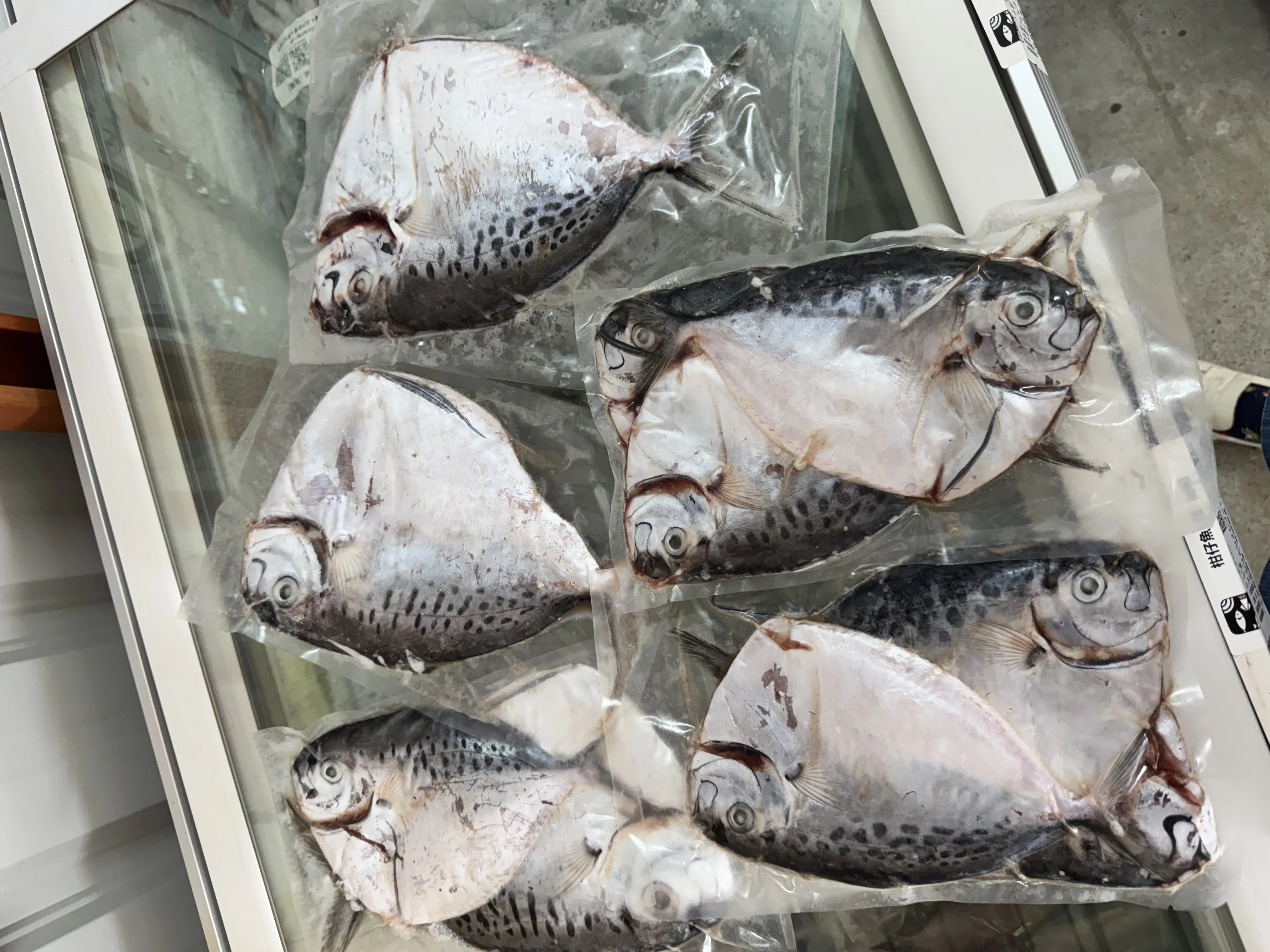 皮刀 菜刀魚