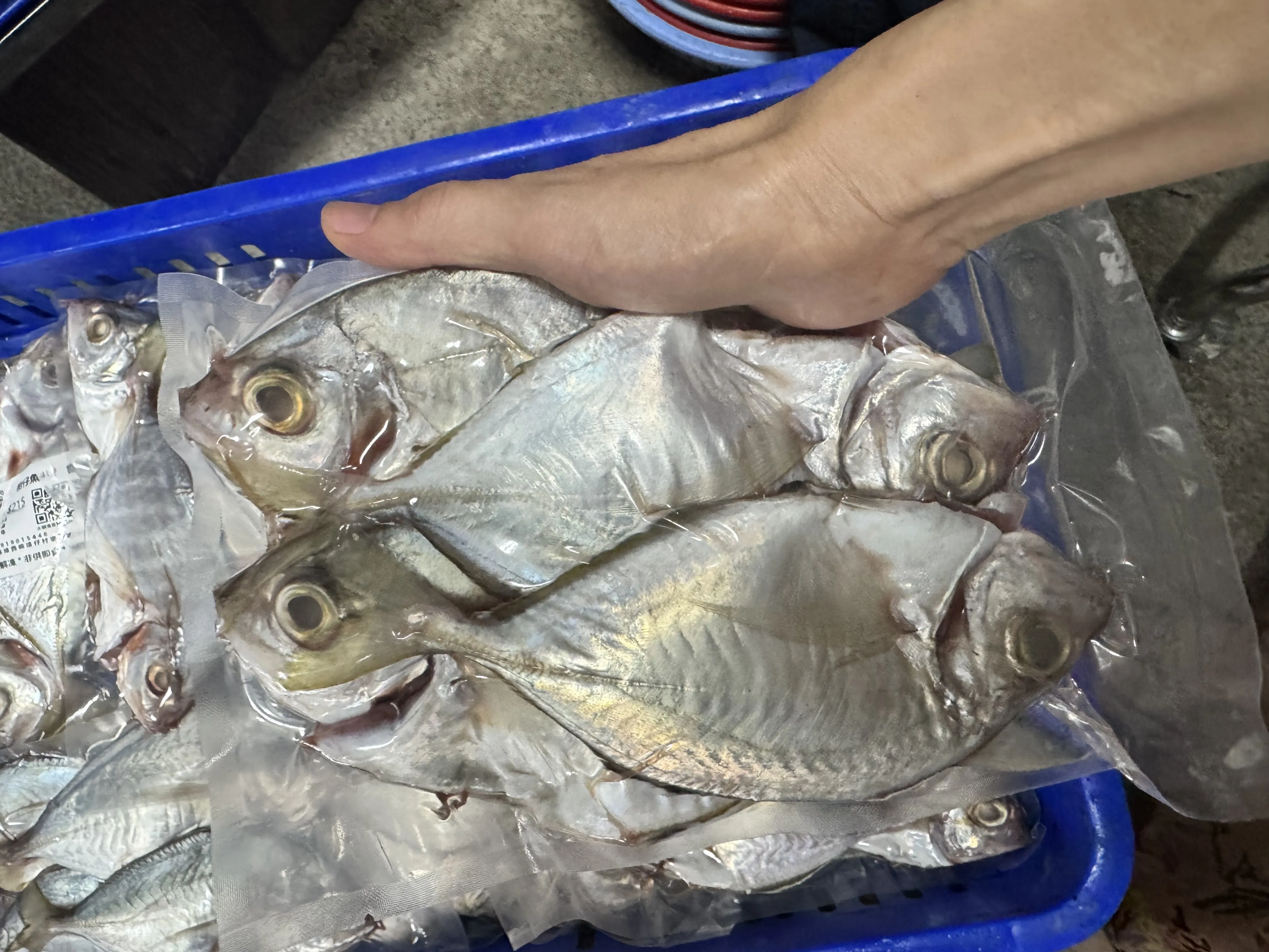 柑仔魚