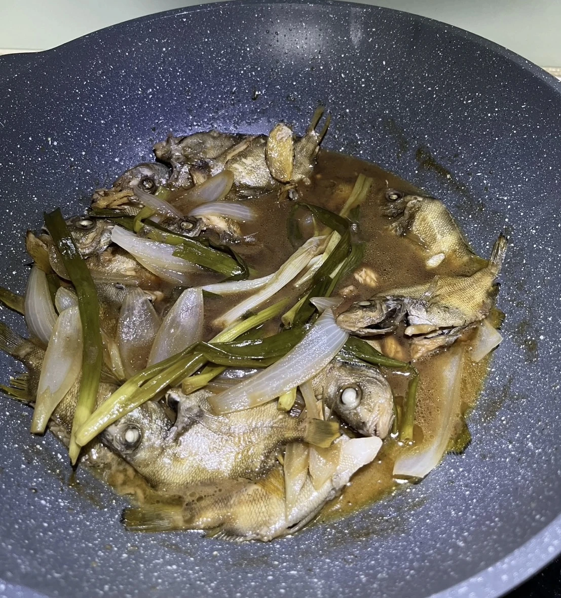 臀斑髭鯛 打鐵婆 