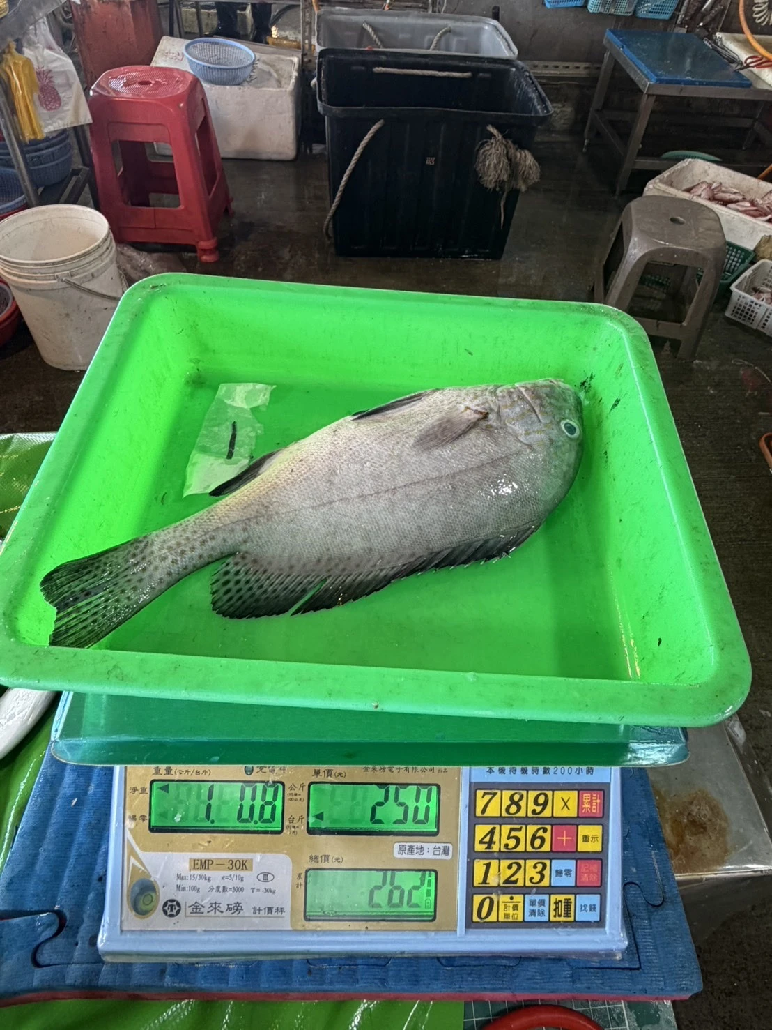 細鱗 加志