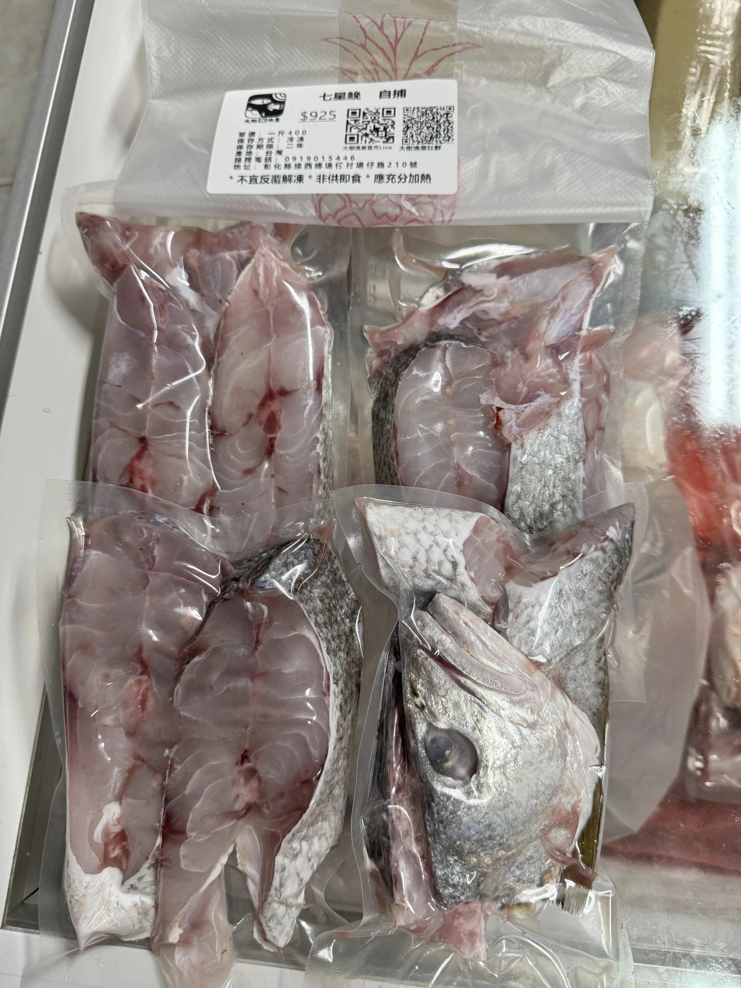 七星鮸（白鮸魚）自捕