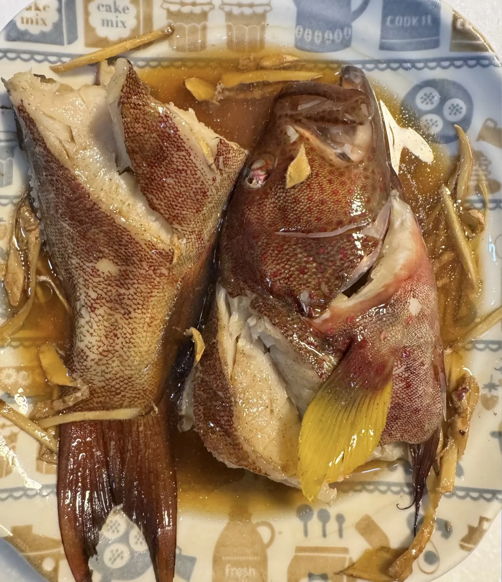 燕尾紅條(菲律賓)