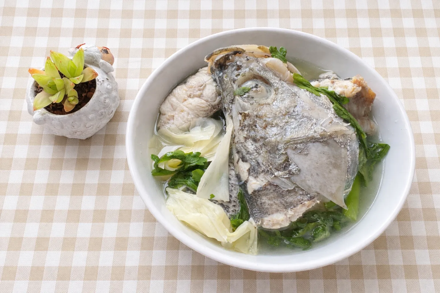 七星鱸 （海鱸）